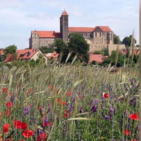 Ferienhaus Harzvorland Ballenstedt Εξωτερικό φωτογραφία