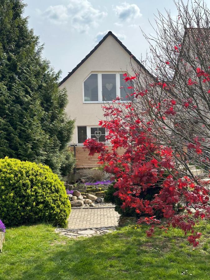 Ferienhaus Harzvorland Ballenstedt Εξωτερικό φωτογραφία